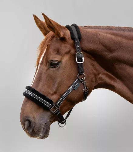 Waldhausen Elegant kötőfék, fekete, XFull