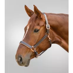   Waldhausen X-Line Rosegold bőr kötőfék - sötétbarna, Full
