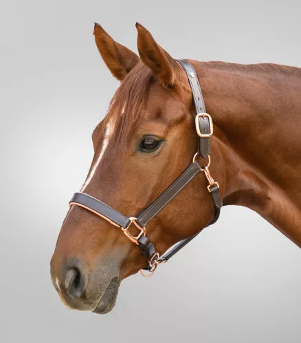Waldhausen X-Line Rosegold bőr kötőfék - sötétbarna, Full