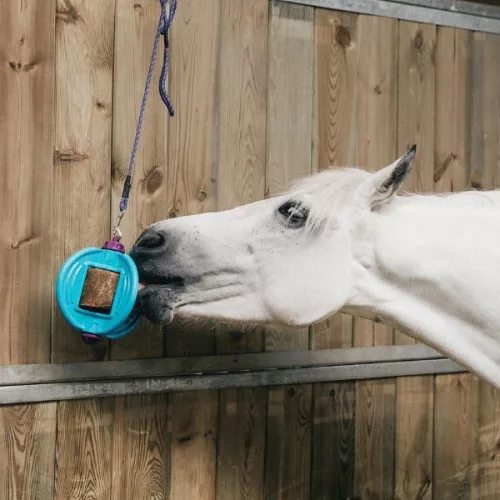 Bizzy Lick Ball lovaknak