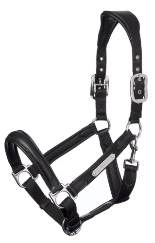Capella Headcollar Black