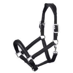Anatomic Headcollar Black