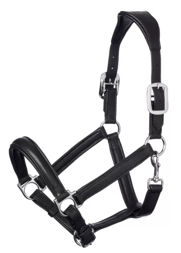 Anatomic Headcollar Black