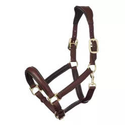 Anatomic Headcollar Brown