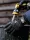 Waterproof Lite Gloves Black