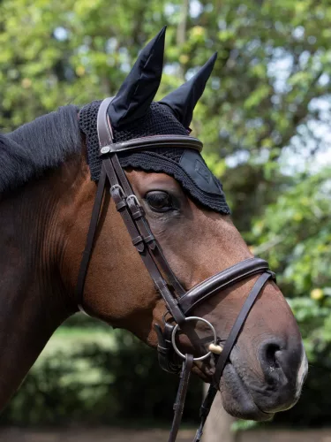 Acoustic Pro Fly Hood Black