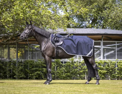 Arika Exercise Sheet Navy