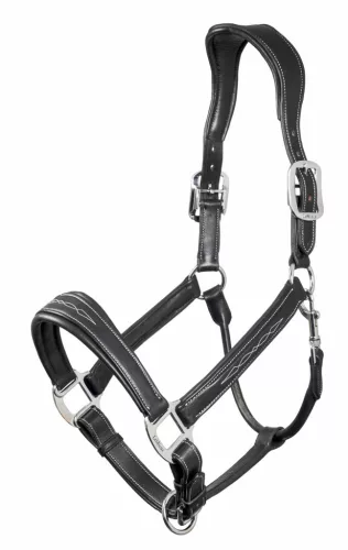 Stitched Leather Headcollar Black