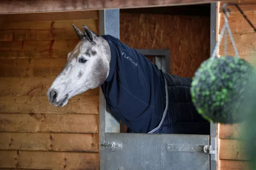 Arika Fleece Hood Navy