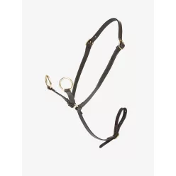 Toy Pony Martingale Brown