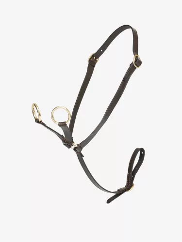 Toy Pony Martingale Brown