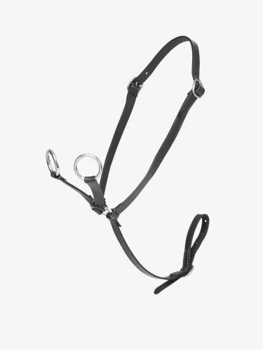 Toy Pony Martingale Black