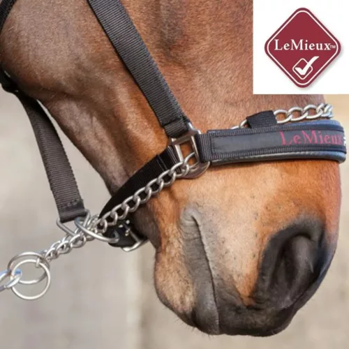 LeMieux ProSafe Headcollar Black - Full