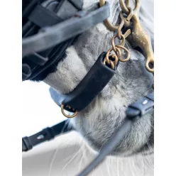 Curb Chain Guard Black