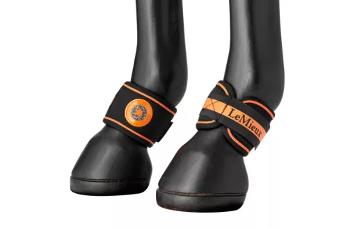 Magno Pastern Wrap Black