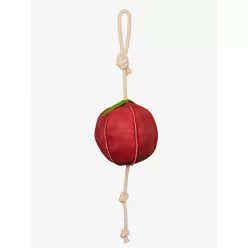 Horse Toy Apple