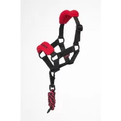 Toy Pony Vogue Headcollar Chilli