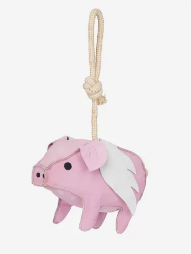 Horse Toy Flying Pig