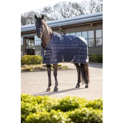 Arika Stable-Tek 100g Navy