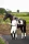 Loire Dressage Square White