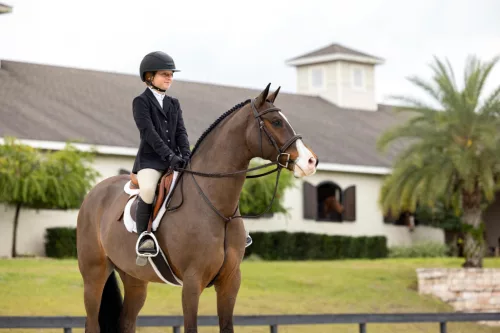 Merino+ Hunter Saddle Pad White/White