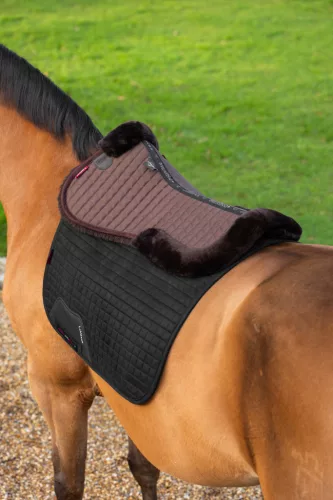 LeMieux Merino+ Half Pad Brown/Brown - Large