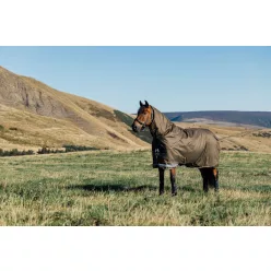 Arika Ripstop 0g Turnout Rug Alpine