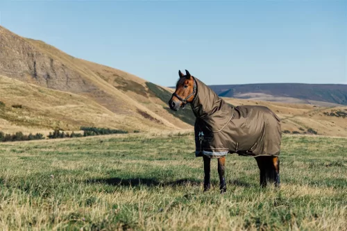 Arika Ripstop 0g Turnout Rug Alpine