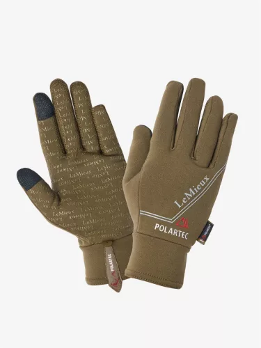 Polartec Gloves Alpine