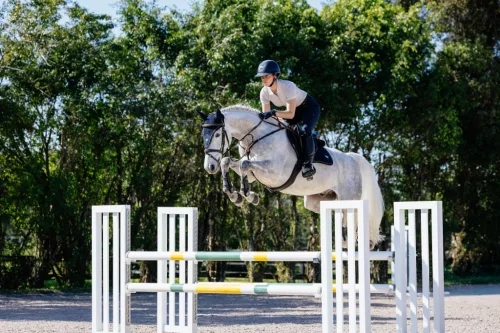 Puissance Suede CC Pad Navy