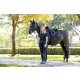 Puissance Suede Dressage Pad Navy