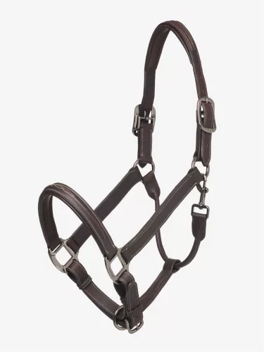 Stitched Hunter Headcollar Havana