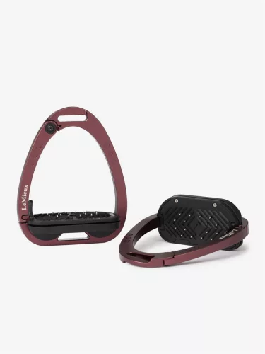 Vector Control Stirrup Auburn