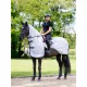 Ride On Fly Rug Grey