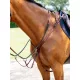 Breastplate (D-Ring Attachment) Chestnut