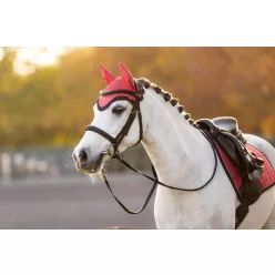 Mini Classic Fly Hood Cranberry