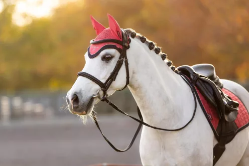 Mini Classic Fly Hood Cranberry