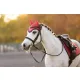 Mini Classic Fly Hood Cranberry
