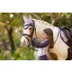 Mini Classic Fly Hood Lilac