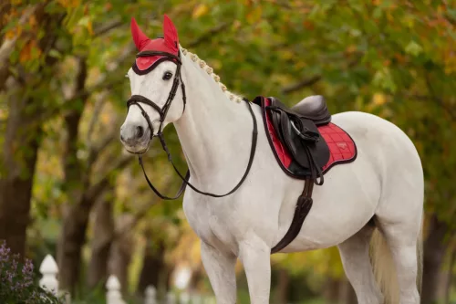 Loire Fly Hood Cranberry