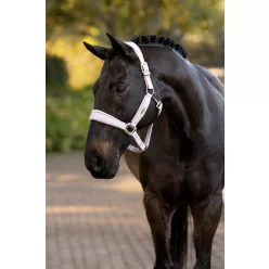 Versailles Headcollar Lilac