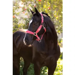 Versailles Headcollar Cranberry