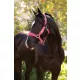 Versailles Headcollar Cranberry