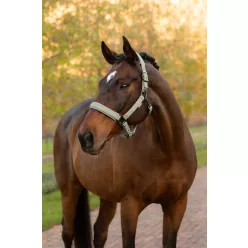 Essence Headcollar Rosemary