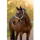 Essence Headcollar Rosemary