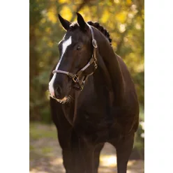 Ropella Headcollar Lilac