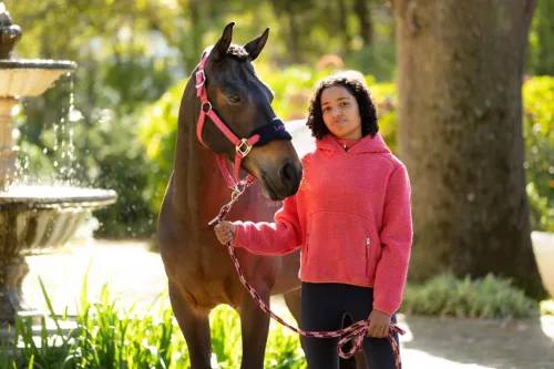 Vogue Headcollar & Leadrope Cranberry