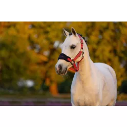 Mini Vogue Headcollar & Leadrope Cranberry