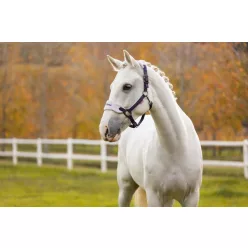 Vogue Headcollar & Leadrope Juniper