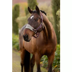 Vogue Headcollar & Leadrope Damson